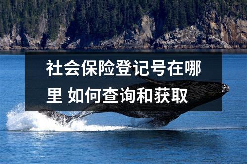 社会保险登记号在哪里 如何查询和获取