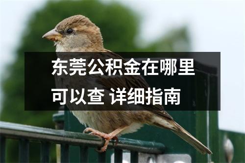 东莞公积金在哪里可以查 详细指南