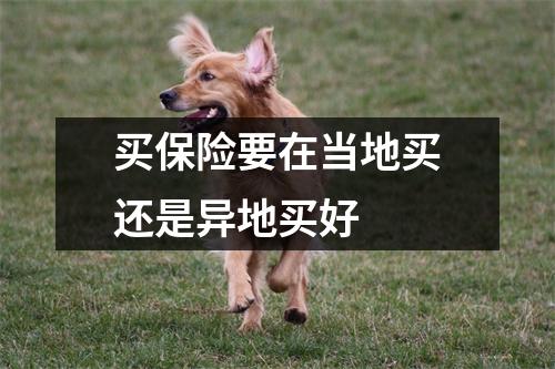 买保险要在当地买还是异地买好 