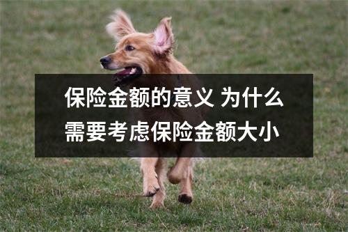保险金额的意义 为什么需要考虑保险金额大小