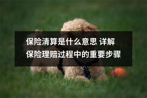 保险清算是什么意思 详解保险理赔过程中的重要步骤
