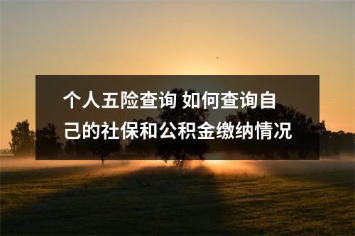 个人五险查询 如何查询自己的社保和公积金缴纳情况
