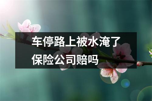 车停路上被水淹了保险公司赔吗 