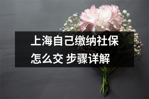 上海自己缴纳社保怎么交 步骤详解