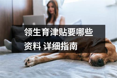 领生育津贴要哪些资料 详细指南