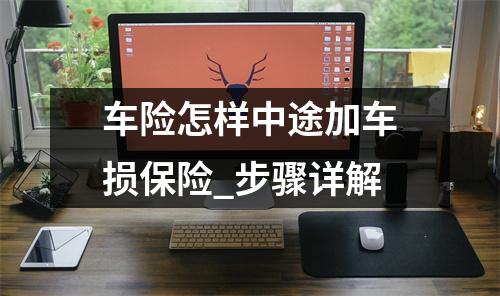 车险怎样中途加车损保险_步骤详解