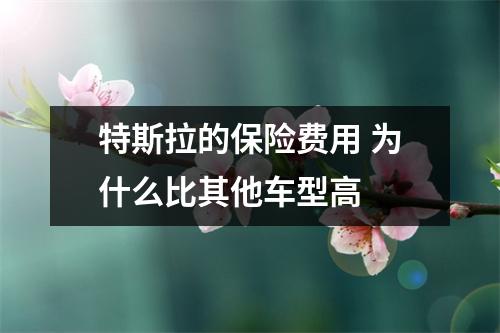 特斯拉的保险费用 为什么比其他车型高 