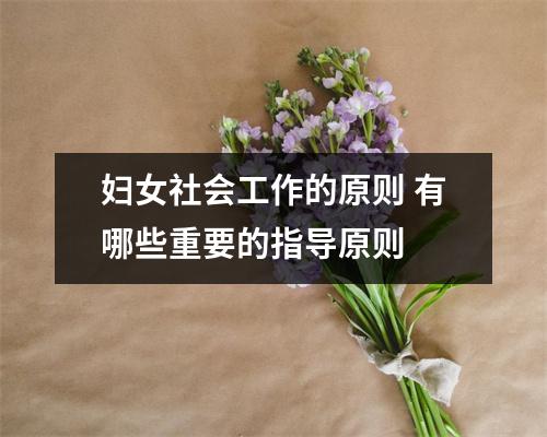 妇女社会工作的原则 有哪些重要的指导原则
