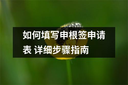 如何填写申根签申请表 详细步骤指南