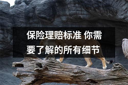 保险理赔标准 你需要了解的所有细节