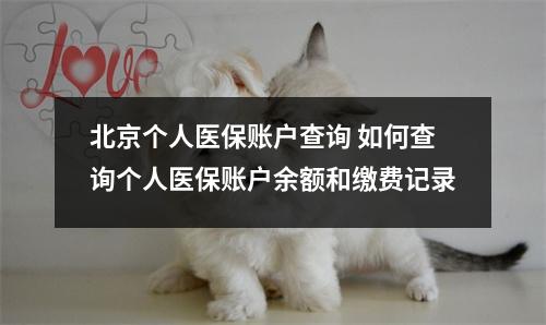 北京个人医保账户查询 如何查询个人医保账户余额和缴费记录