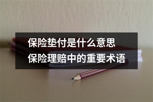 保险垫付是什么意思 保险理赔中的重要术语