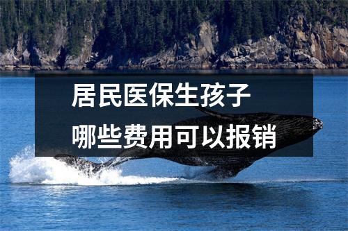 居民医保生孩子 哪些费用可以报销
