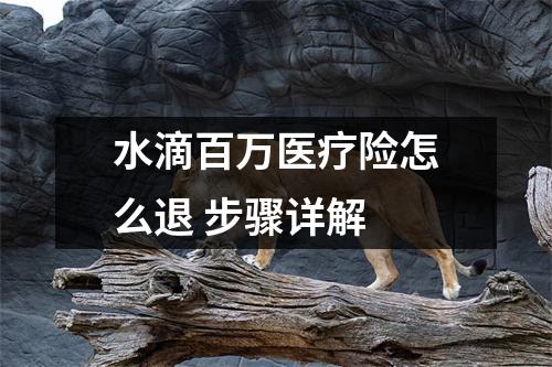 水滴百万医疗险怎么退 步骤详解