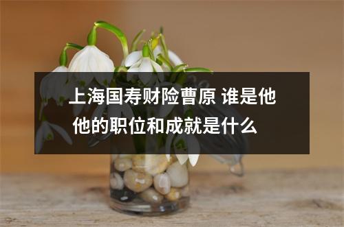 上海国寿财险曹原 谁是他 他的职位和成就是什么 