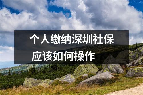 个人缴纳深圳社保 应该如何操作 