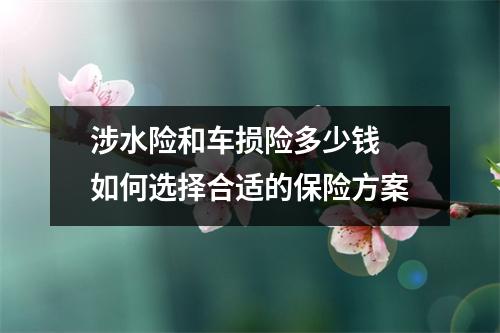 涉水险和车损险多少钱 如何选择合适的保险方案