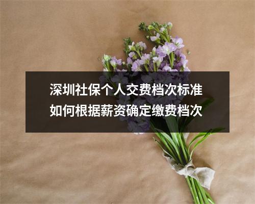 深圳社保个人交费档次标准 如何根据薪资确定缴费档次
