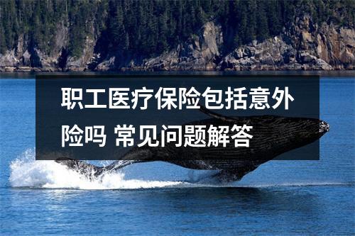 职工医疗保险包括意外险吗 常见问题解答