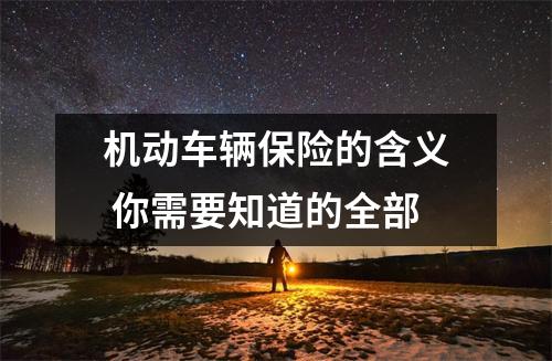 机动车辆保险的含义 你需要知道的全部