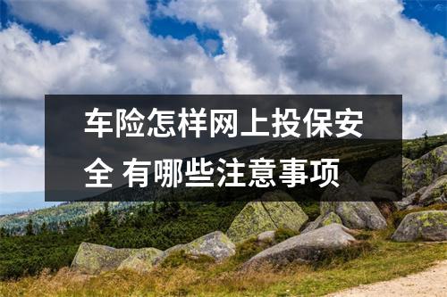 车险怎样网上投保安全 有哪些注意事项