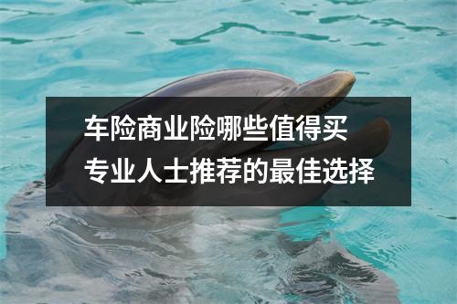 车险商业险哪些值得买 专业人士推荐的最佳选择