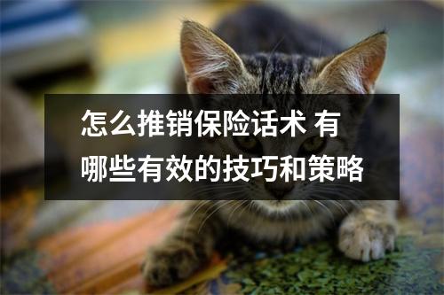 怎么推销保险话术 有哪些有效的技巧和策略