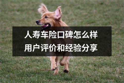 人寿车险口碑怎么样 用户评价和经验分享