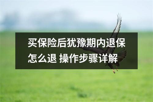 买保险后犹豫期内退保怎么退 操作步骤详解