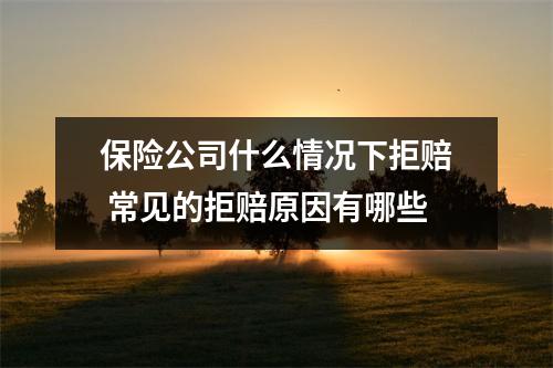 保险公司什么情况下拒赔 常见的拒赔原因有哪些