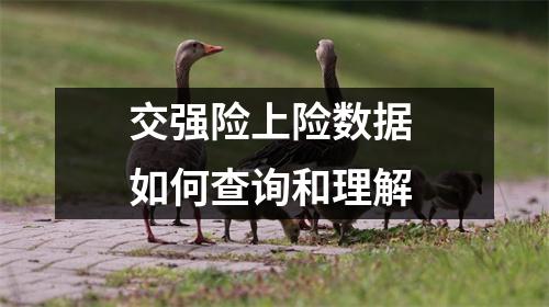 交强险上险数据 如何查询和理解