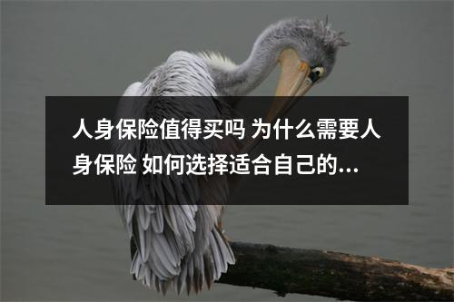 人身保险值得买吗 为什么需要人身保险 如何选择适合自己的保险产品
