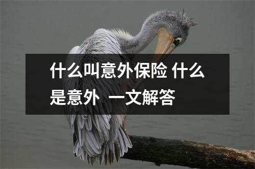 什么叫意外保险 什么是意外  一文解答
