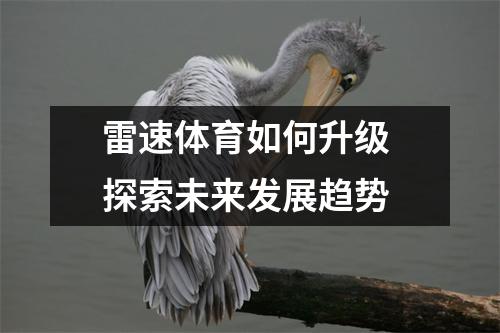 雷速体育如何升级 探索未来发展趋势