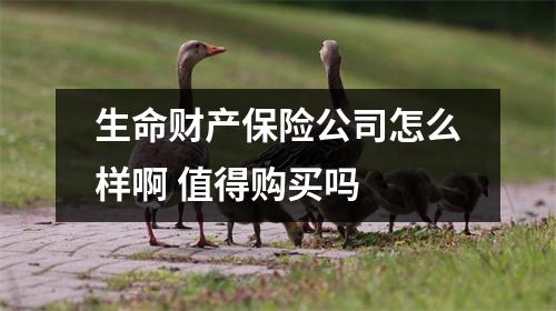 生命财产保险公司怎么样啊 值得购买吗