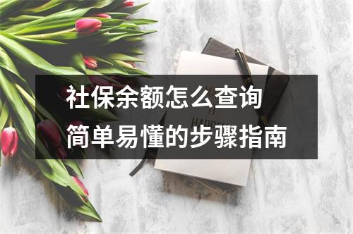 社保余额怎么查询 简单易懂的步骤指南