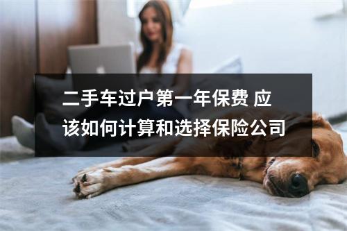 二手车过户第一年保费 应该如何计算和选择保险公司