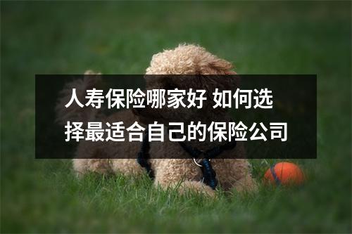 人寿保险哪家好 如何选择最适合自己的保险公司