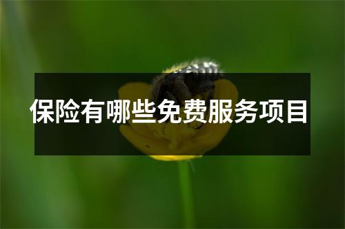 保险有哪些免费服务项目