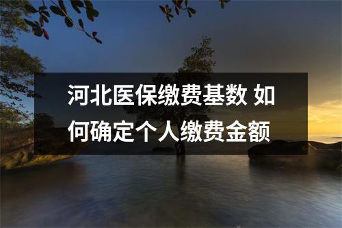 河北医保缴费基数 如何确定个人缴费金额
