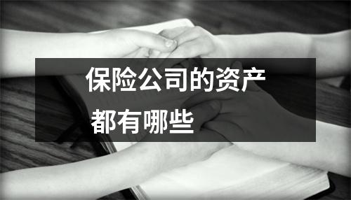 保险公司的资产 都有哪些