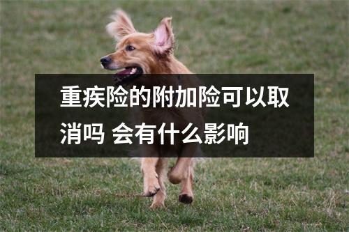 重疾险的附加险可以取消吗 会有什么影响
