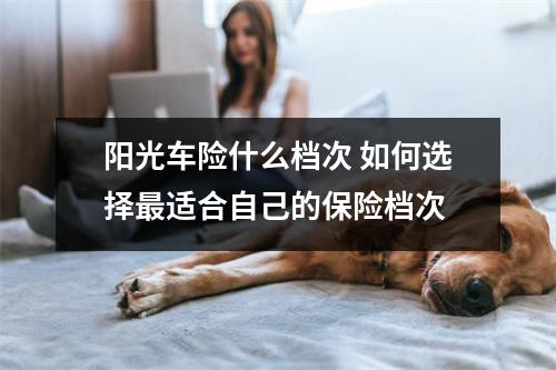 阳光车险什么档次 如何选择最适合自己的保险档次