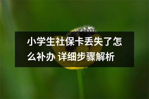 小学生社保卡丢失了怎么补办 详细步骤解析