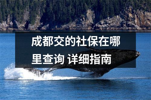 成都交的社保在哪里查询 详细指南