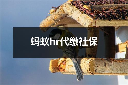 蚂蚁hr代缴社保