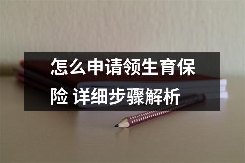 怎么申请领生育保险 详细步骤解析