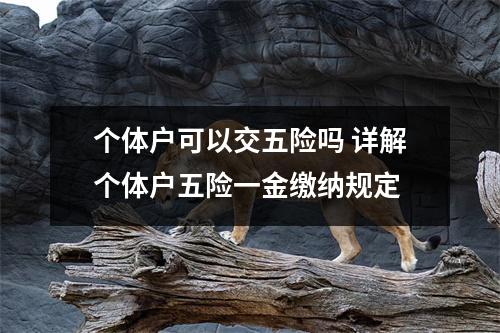 个体户可以交五险吗 详解个体户五险一金缴纳规定