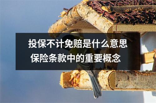 投保不计免赔是什么意思 保险条款中的重要概念