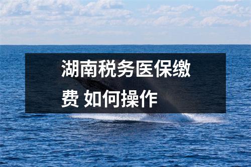 湖南税务医保缴费 如何操作 